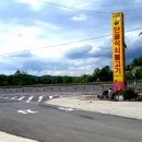 신단골식당 네이버블로그