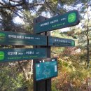 여래사
