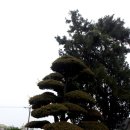 이리여자고등학교 이미지