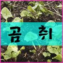 도릉농원 이미지