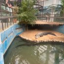 세븐일레븐 서울대공원입구점 | 과천 서울대공원 단풍 나들이 | 돗자리, 도시락, 지도, 사자 호랑이 인기 관람 코스 추천