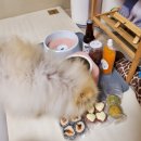 견생제과점 이미지