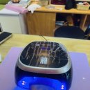 별빛네일샵 | 행신동네일 엄지검지네일샵 ✨ 자석네일 받고 온 솔직후기