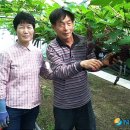 김기준농장 이미지