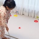 스컬독