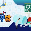 MBN TV - 2020년 8월30일(일) 일일 방송편성표 이미지