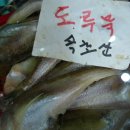 속초생태찌개