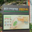 금호강9 | &lt;대한민국 밴발걷기 명소&gt; 대구 &#39;봉무공원 단산지&#39; 맨발걷기 체험 후기