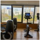 호텔마음 | 그랜드 하얏트 타이베이 vs 유나이티드 호텔 비교 후기