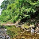 휘펜션민박 이미지