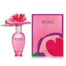 퍼피아뜰리에 이미지