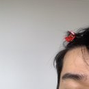 잔머리 헤어 이마라인 뻗치는 머리 정리 집에서하는 벨모어 셀프다운펌
