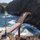 울릉도 알프스 이미지