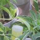 리팅성형외과의원 이미지