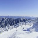 눈물 날 정도로 아름다워! 케이블카 타고 즐기는 설경 명소 이미지