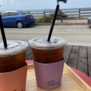 제부콤마씨(JEBU,SEA)