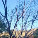 01-33 동구 Daum카페