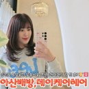 월천 | [아산배방미용실]데이케어헤어:손상 모발 염색 후기:월천 미용실 추천