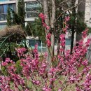 농업회사법인 (주)한국팜 | 농업법인의 설립과 스마트팜