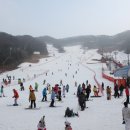 양지파인리조트 이미지