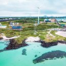 푸른 제주 이미지