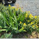 밀양소풍펜션 이미지