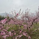 한은농장 이미지