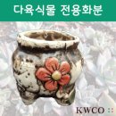 행복다육꽃농원