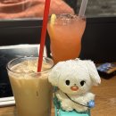 할리스커피인천서구청점 | [블체첼] 서구청할리스 커피 신메뉴 파인선셋캐모마일티 후기