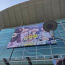전곡체육관 | 루시 콘서트 막콘 후기 I 일곱번째 와장창 단독콘서트 | 화정체육관 2층 A열 시야