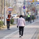 아름동_아름초등학교앞 이미지