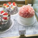 연선흠 케이크 후기, 대전 베이커리 맛집 내돈내산