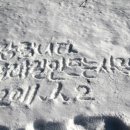 종합운동장 메타세콰이어길 이미지