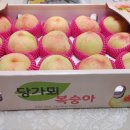 유미농장 이미지