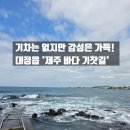 대정읍 어촌계창고 | 제주도 숨은 명소｜기차는 없지만 감성은 가득, 대정읍 '제주 바다 기찻길' 인생샷 (주차, 물때 꿀팁)