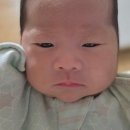 김해시보건소 | 경남 김해시 장유 서부 보건소 산후도우미 서비스 신청하고 90%환급받자! 금액 유형 확인하기