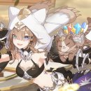 꿈꾸는 고양이 이미지