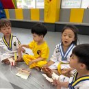 석봉태권도장 | 김해태권도 장유 석봉태권도는 체계적으로 알려주는곳은 이곳밖에 없더라구요