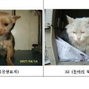 인화동-32 이미지