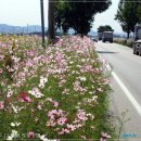 천자봉 농장 이미지