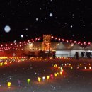 새바라기 이미지