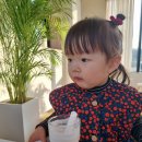 서아목장 이미지