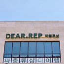 강추! 당진 파충류샵 당진 수청동 디어랩에서 건강한 파충류 입양하세요~