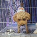 성산여관 이미지