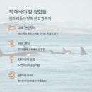 고요한 숲 이미지