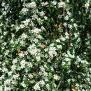 대영농원 이미지