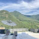 프라이빗핑크트리 이미지