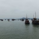 Halong (하롱) 이미지