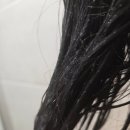 카멜리아의원 | 단백질트리트먼트 먼프리 맥주효모 탄력 볼륨 트리트먼트 카멜리아향 후기