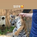 예나농장 이미지